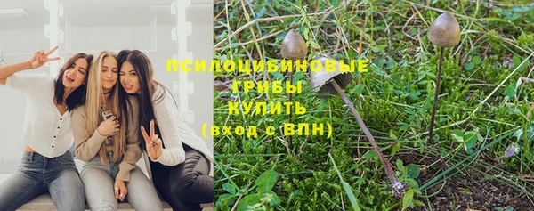ПСИЛОЦИБИНОВЫЕ ГРИБЫ Абдулино