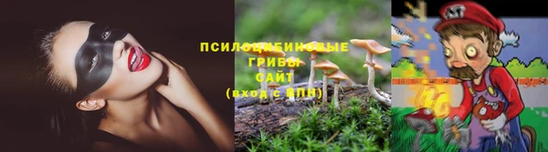 прущие крисы Алзамай