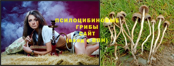 экстази Абаза