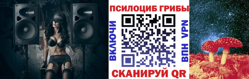 где найти   Ярославль  сайты даркнета официальный сайт  Псилоцибиновые грибы MAGIC MUSHROOMS 