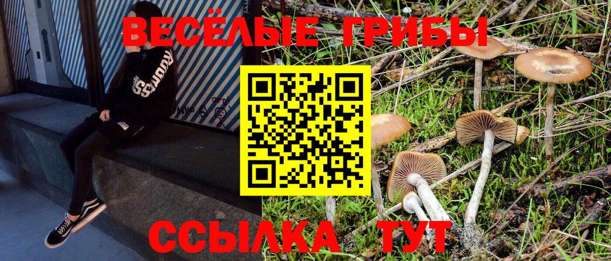 Псилоцибиновые грибы Psilocybe  Вход с VPN  Галлюциногенные грибы мицелий  Ярославль 